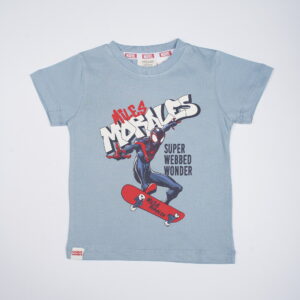 Marvel Spider-Man Boys Graphic T-Shirt – Blue