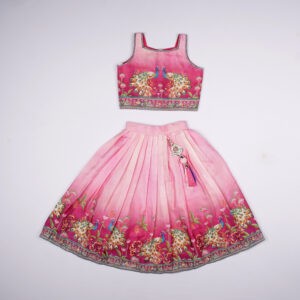 Baani Pink Peacock Embroidered Choli
