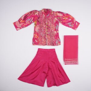 Sparkel Rani Sparkle Embroidered Palazzo Set for Girls