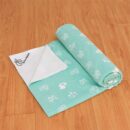 R for Rabbit Dry Nap Sheet - Green